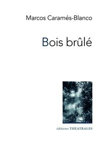 Picture of Bois brûlé