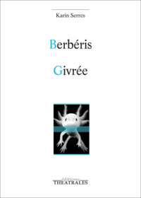 Image de Berberis givrée