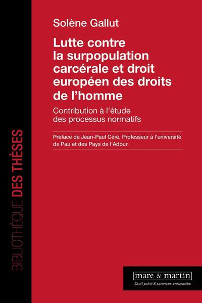 Image de Lutte contre la surpopulation carcérale et droit européen des droits de l'homme
