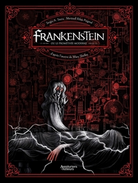 Picture of Frankenstein ou le Prométhée moderne