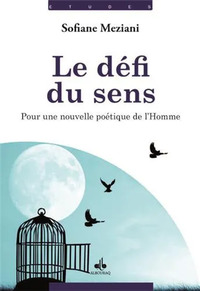 Picture of DéFI DU SENS - POUR UNE NOUVEL