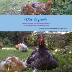 Image de Vies de poule - Conditions de vie et comportement de petits dinosaures domestiques