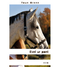 Image de Evel ur pont