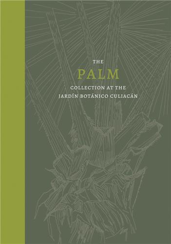 Picture of Palms Collection at the JardIn BotAnico CuliacAn /anglais