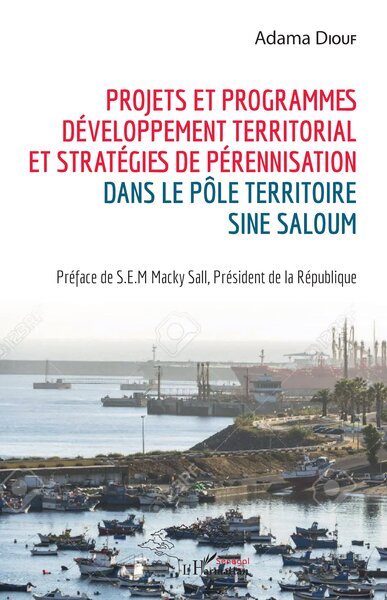 Picture of Projets et programmes de développement territorial et stratégies de pérennisation