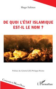 Image de De quoi l'État islamique est-il le nom ?
