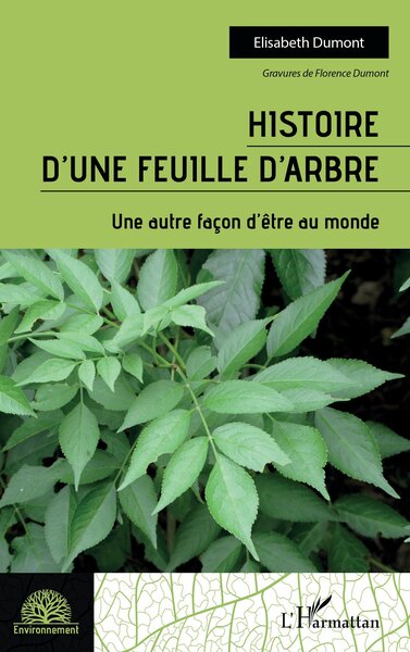 Picture of Histoire d'une feuille d'arbre