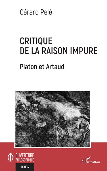 Image de Critique de la raison impure
