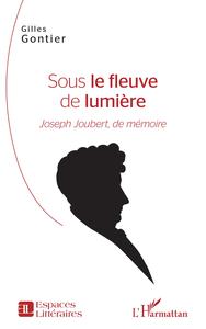 Image de Sous le fleuve de lumière