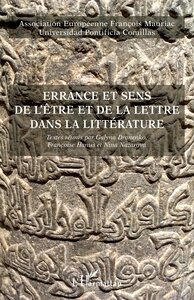 Image de Errance et sens de l'être et de la lettre dans la littérature