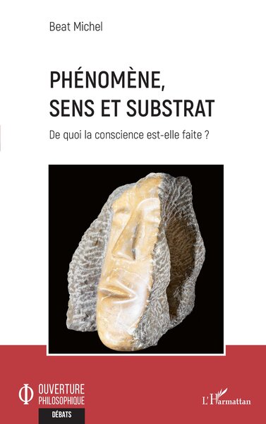 Image de Phénomène, sens et substrat