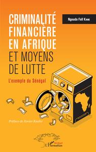 Image de Criminalité financière en Afrique et moyens de lutte