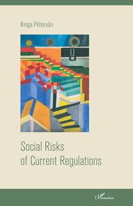 Picture of Social Risks of Current Regulations