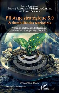 Picture of Pilotage stratégique 5.0 et durabilité des territoires