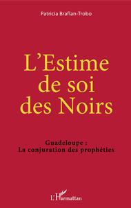 Picture of L'Estime de soi des Noirs