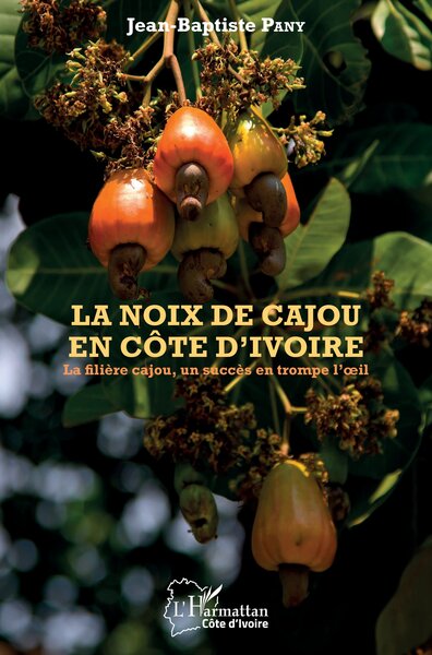 Picture of La noix de cajou en Côte d'Ivoire