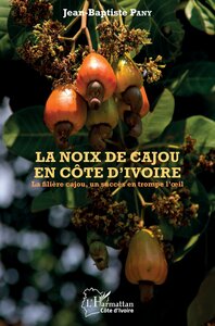 Picture of La noix de cajou en Côte d'Ivoire