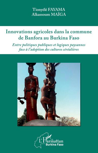 Image de Innovations agricoles dans la commune de Banfora au Burkina Faso
