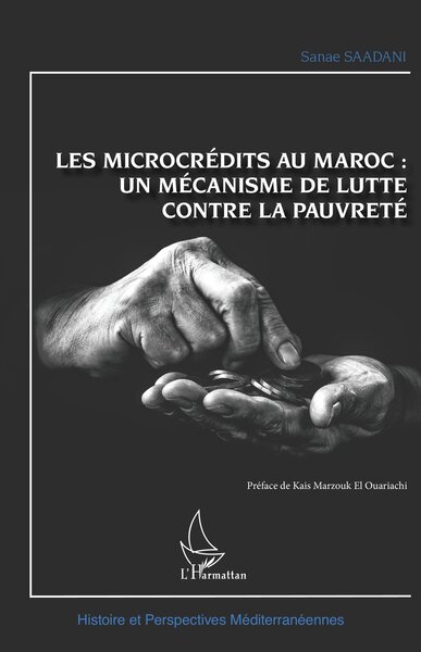 Picture of Les microcrédits au Maroc :