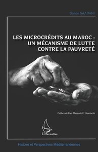 Picture of Les microcrédits au Maroc :
