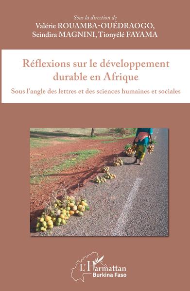 Picture of Réflexions sur le développement durable en Afrique