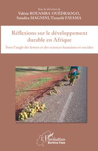 Picture of Réflexions sur le développement durable en Afrique
