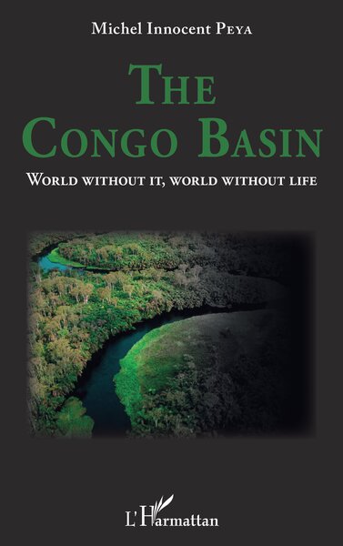 Picture of The Congo Basin