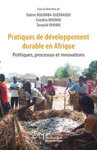 Picture of Pratiques de développement durable en Afrique