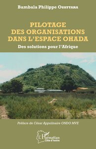 Picture of Pilotage des organisations dans l'espace OHADA