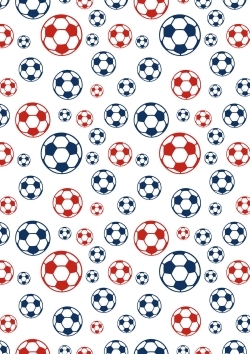 Image de MYNOTEBOOK FOOTBALLPARIS SEYES,96P,A5