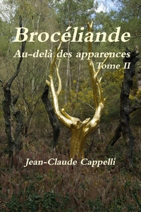 Picture of Brocéliande Au-delà des apparences Tome II