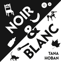 Picture of Noir et blanc