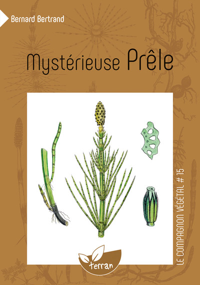 Image de Mystérieuse Prêle - Vol. 15