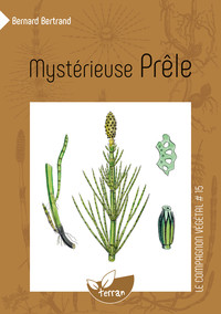 Image de Mystérieuse Prêle - Vol. 15