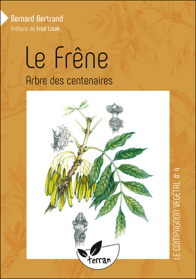 Picture of Le Frêne, arbre des centenaires - Vol. 4