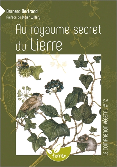 Image de Au royaume secret du Lierre - Vol. 12