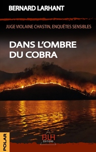Image de Dans l'ombre du Cobra