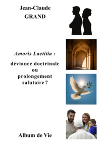 Image de Amoris Laetitia : déviance doctrinale ou prolongement salutaire