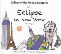 Picture of Eclipse in New York