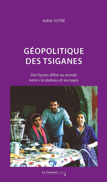 Image de Géopolitique des tsiganes