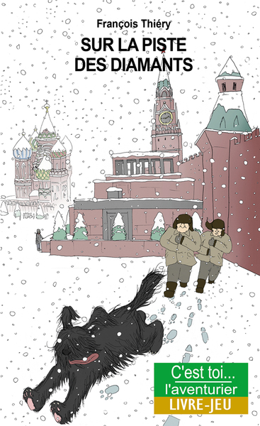 Picture of Sur la piste des diamants