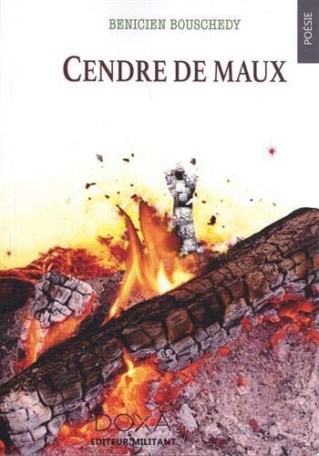 Picture of Cendre de maux