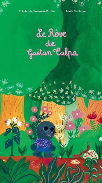 Image de LE REVE DE GAETAN TALPA
