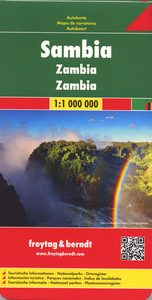Picture of ZAMBIE