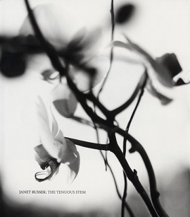 Image de Janet Russek: The Tenuous Stem /anglais
