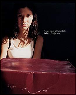 Picture of Robert Benjamin: Notes from a Quiet Life /anglais