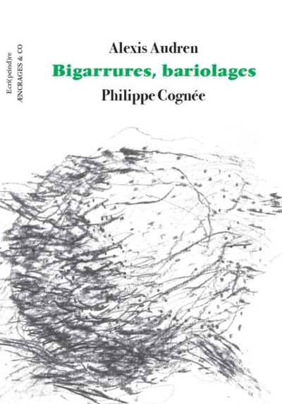 Picture of Bigarrures, bariolages