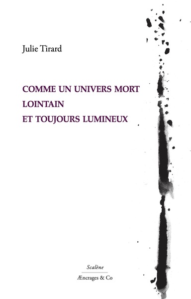 Picture of COMME UN UNIVERS MORT LOINTAIN ET TOUJOURS LUMINEUX
