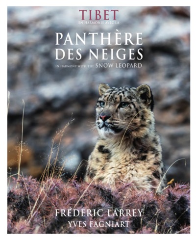 Image de Tibet en harmonie avec la panthère des neiges / in Harmony with the snow leopard