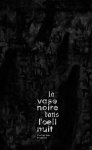 Picture of La vase noire dans l’œil nuit